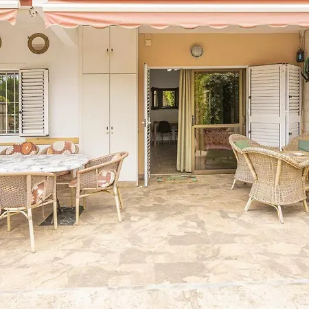 Delfin San Juan Alicante